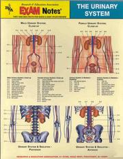Cover of: Urinary System Exam Notes