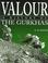 Cover of: Valour
