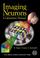 Cover of: Imaging Neurons