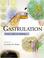 Cover of: Gastrulation