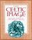 Cover of: The Celtic Image