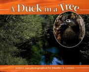 Cover of: A duck in a tree