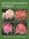 Cover of: Rhododendron Hybrids (Includes Selected, Named Forms of Rhododendron Species)