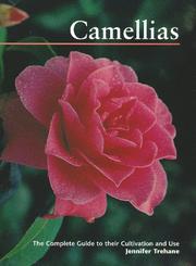 Camellias by Jennifer Trehane