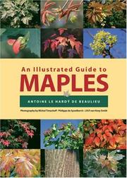 An Illustrated Guide to Maples by Antoine Le Hardy De Beaulieu