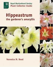 Cover of: Hippeastrum by Veronica M. Read, Veronica M. Read