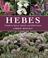 Cover of: Hebes