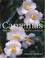 Cover of: Camellias