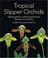 Cover of: Tropical Slipper Orchids