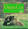 Cover of: Grizzly cub