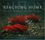 Cover of: Reaching Home