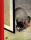 Cover of: Cat Lover's Book of Days