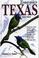 Cover of: Birder's guide to Texas.