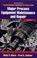 Cover of: Major process equipment maintenance and repair