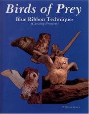 Cover of: Birds of prey: blue ribbon techniques (carving projects)