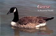 Cover of: Geese a Pictorial Study