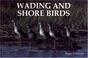 Cover of: Wading and Shore Birds