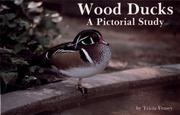 Cover of: Wood Ducks by Tricia Veasey, Tricia Veasey