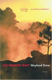 Cover of: Wabeno feast: a novel