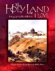 The Holy Land I love by David Roberts