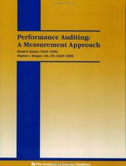 Performance auditing by Ronell B. Raaum