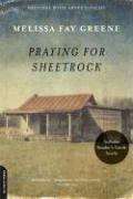 Cover of: Praying for Sheetrock by Melissa Fay Greene