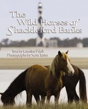 Cover of: The Wild Horses of Shackleford Banks by Carmine Prioli