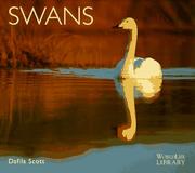 Cover of: Swans by Dafila Scott