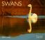 Cover of: Swans