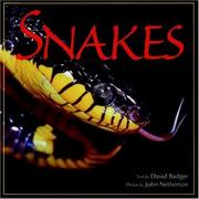 Cover of: Snakes (Wildlife) by David Badger