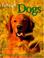 Cover of: Love of Dogs