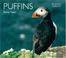 Cover of: Puffins