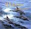 Cover of: Dolphins of the World