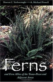 Cover of: Ferns and Fern Allies of the Trans-Pecos and Adjacent Areas