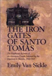 The Iron Gates of Santo Tomás by Emily Van Sickle
