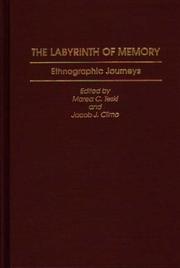 Cover of: The Labyrinth of Memory | 