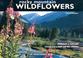 Cover of: Rocky Mountain Wildflowers