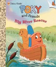 Cover of: Big River Rescue