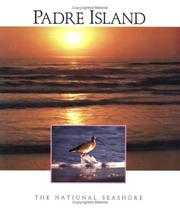 Padre Island by Brown, Joseph E.