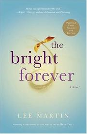 Cover of: The Bright Forever by Lee Martin
