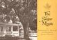 Cover of: The sugar maple