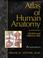 Cover of: Atlas of Human Anatomy