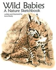 Cover of: Wild Babies: A Nature Sketchbook