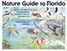 Cover of: Nature guide to Florida