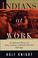 Cover of: Indians at work
