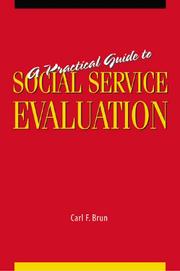 Cover of: A practical guide to social service evaluation