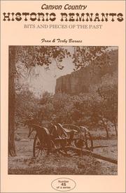 Cover of: Historic remnants: bits and pieces of the past