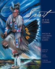 Spirit of the Ojibwa by Bailey, James R.