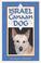 Cover of: The Israel Canaan dog