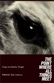 Cover of: The Point Where All Things Meet by Tom Andrews